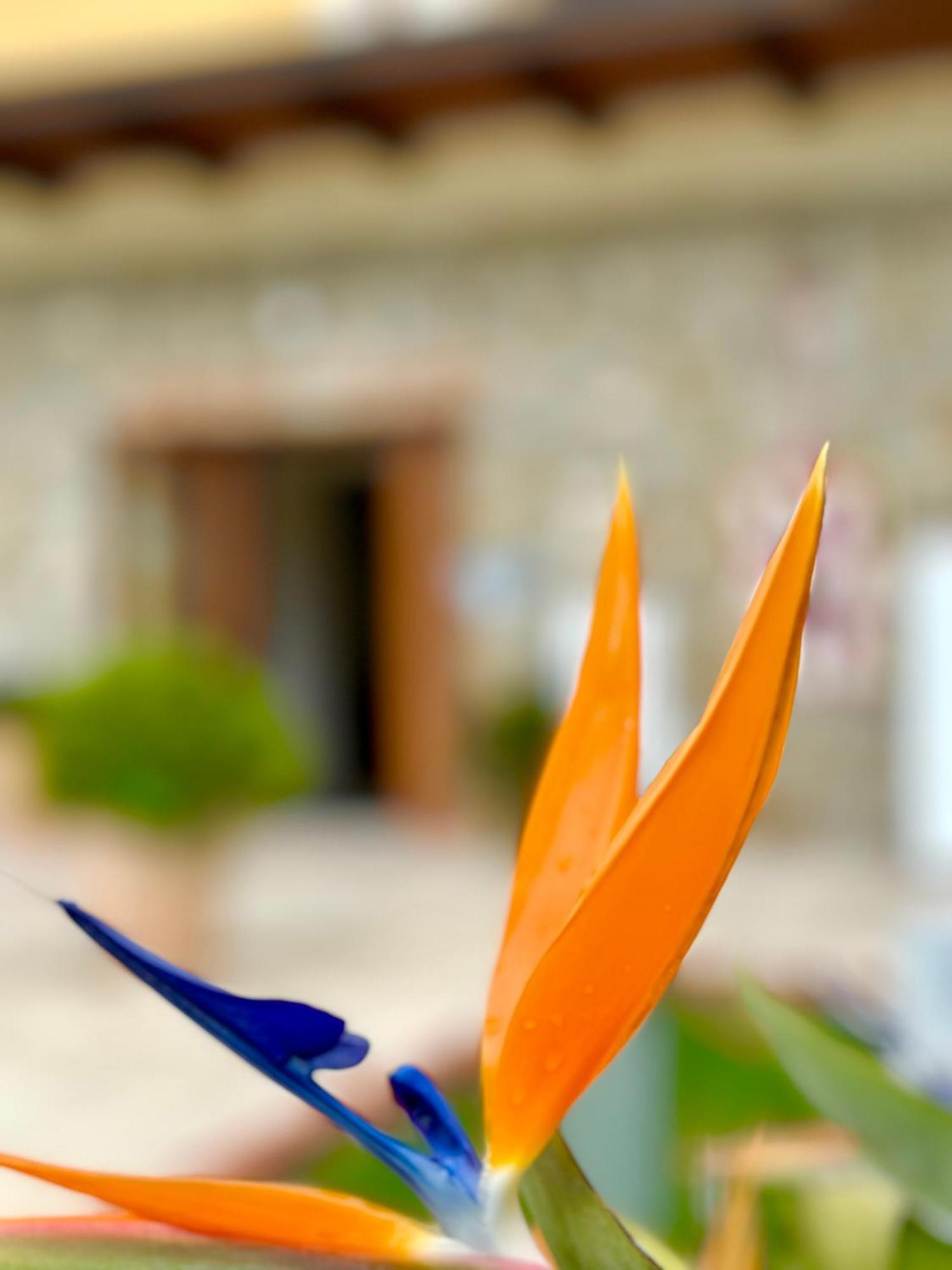 Pellare Casale Degli Ulivi Resort المظهر الخارجي الصورة